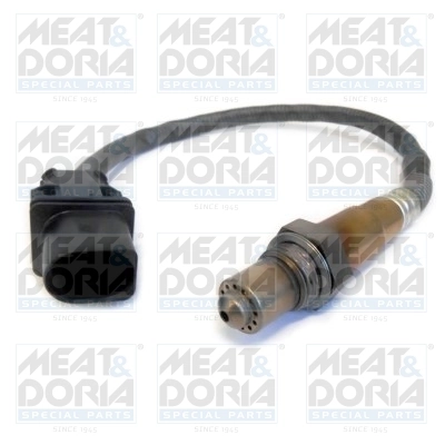 Oxygen Sensor